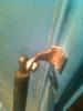 post-17554-1475321967,4914_thumb.jpg