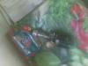 post-13345-1475321840,0124_thumb.jpg