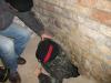 post-12854-1475321904,8968_thumb.jpg