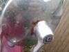 post-28684-1475322182,3453_thumb.jpg