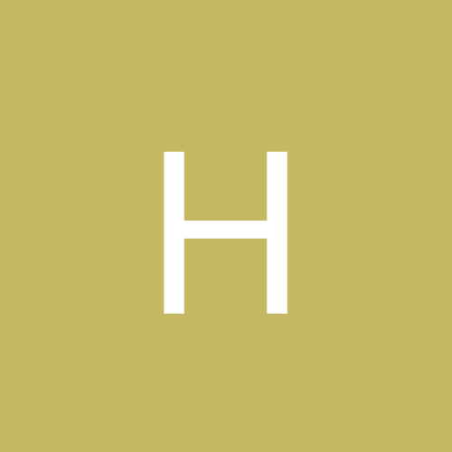 hornet