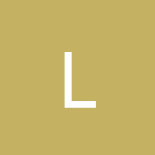 Lion13