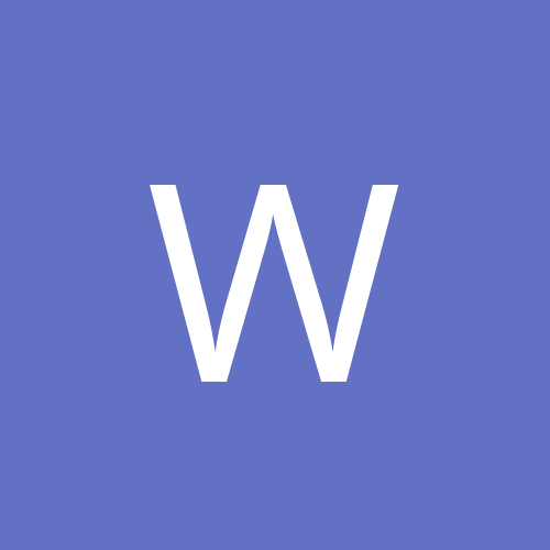 Wolok