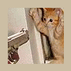 2107